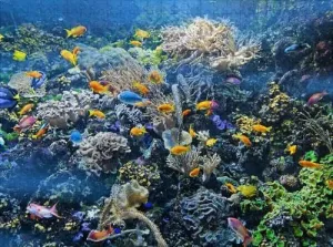 1000 Pieces Jigsaw Puzzles for Adults and Teens and Kids Aquarium Puzzle for Youth Children Challenging Wooden Toys Fun Games Colorful Puzzle for Home Decorations