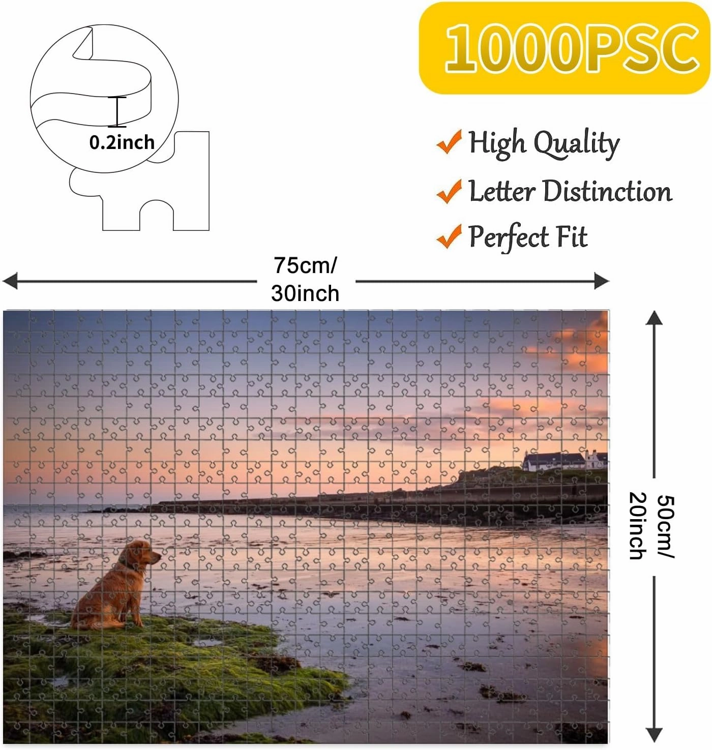 1000 Piece Jigsaw Puzzle Game, Colorful Dog Chasing Fish Calm Waters Off Beach Town Barna Ireland Dusk Large Puzzle Artwork for Adults Teens Challenging Puzzle Game Nights Toy Gift