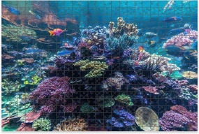 1000 Piece Jigsaw Puzzle Game, Colorful Singapore July 2019 Amazing Vibrant Coral Large Puzzles Artwork for Adults Teens Challenging Puzzle Game Nights Toy Gift