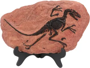 1Pc Simulation Dinosaur Model Decor Decorative Adornment for Present for Birthdays Educational and Party Decorations