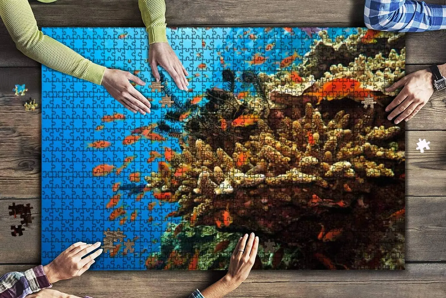 500 Piece Coral Colony and Soldier Fish on Great Barrier Reef Australia Large Piece Jigsaw Puzzles for Adults Educational Toy for Kids Creative Games Entertainment Wooden Puzzles Home Decor