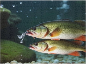 500 Piece Jigsaw Puzzle - Fish Under The Water - Animal Puzzle for Kids and Adults，Challenging and Fun Game，Relaxing Puzzles for Stress Relief，Brain Teaser Jigsaw Puzzles – Improves Focus and Memory