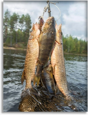 500 Piece Jigsaw Puzzle for Adults - Caught Fish a Mountain River Wooden Teens Kids DIY Home Decor Development Toys Colorful Game Gift