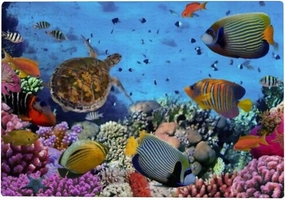 500piece Jigsaw Puzzles for Kids Adult Large Picture ﻿Colorful Coral with Fish Wooden Puzzles Intelligent Education Brain Puzzles Game Home Wall Decor