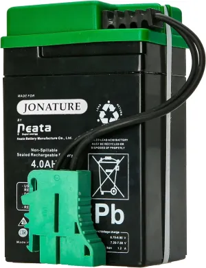 6V Battery for Peg Perego Lil Tractor and Trailer/for Santa Fe Train Children Ride on Car (6V 4AH)