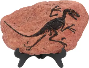 Alipis 1Pc Decorative Dinosaur Model Educational Simulation Plaything for Desktop Decor Chocolate Color Enhance Cognitive Skills Cultivate Interests