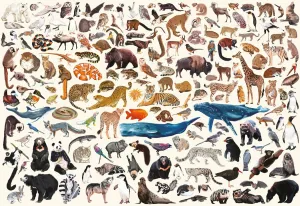 Buffalo Games - Kara Mohr - Conservation Collage - 2000 Piece Jigsaw Puzzle for Adults - Challenging Puzzle Perfect for Game Nights - Finished Size is 38.50 x 26.50