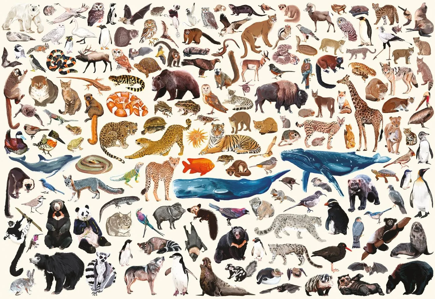 Buffalo Games - Kara Mohr - Conservation Collage - 2000 Piece Jigsaw Puzzle for Adults - Challenging Puzzle Perfect for Game Nights - Finished Size is 38.50 x 26.50