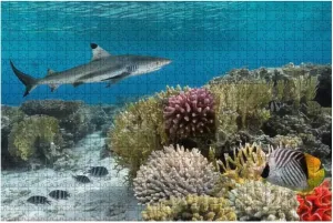 Colorful underwater coral reef with yellow stripped fish and big shark 1000 Piece Jigsaw Puzzle Game - Colorful Large Puzzles Artwork for Adults Teens Puzzle Game Toy Gift