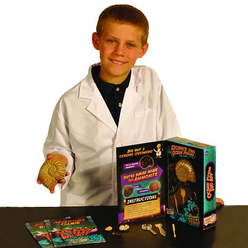 Discover with Dr Cool - Ocean Fossil Dig Kit