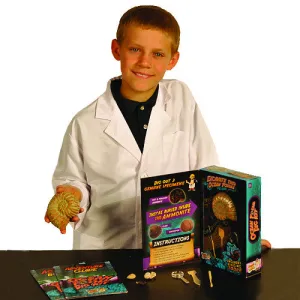 Discover with Dr Cool - Ocean Fossil Dig Kit