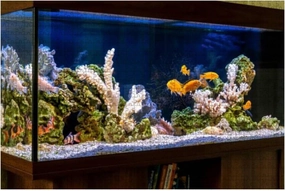 Freshwater Aquarium Pseudo sea Style aquadesign Aquarium 1000 Piece Wooden Jigsaw Puzzles Adults Kids DIY Educational Puzzle Colorful Large Artwork Decompression Toy Game Gift Home Decor