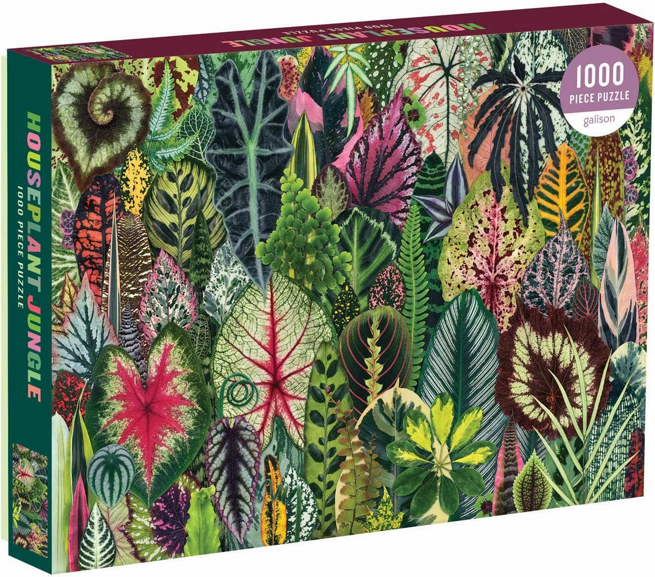 Galison Houseplant Jungle 1000 Piece Jigsaw Puzzle for Adults – Plant Jigsaw Puzzle with Mix of Succulents & Other Household Plants – Fun Indoor Activity, Multicolor