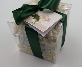 Gardenia Bath Bombs: White Gardenia Gift Set with 6 Bath Bomb Fizzies with Shea, Mango & Cocoa Butter, Ultra Moisturizing (14 Oz) Great for Dry Skin, All Skin Types (White Gardenia)