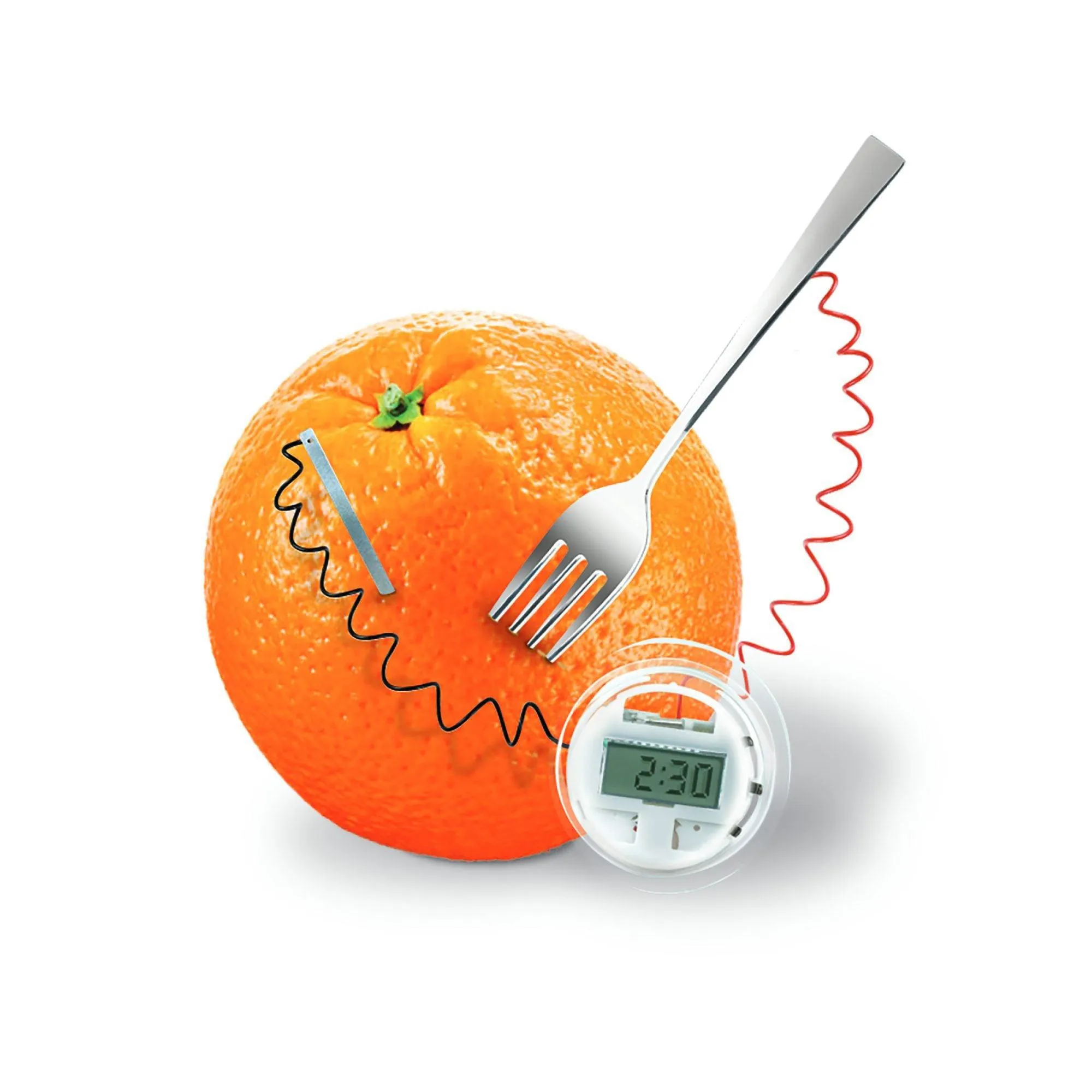 Great Gizmos STEAM Powered Kids Kitchen Science