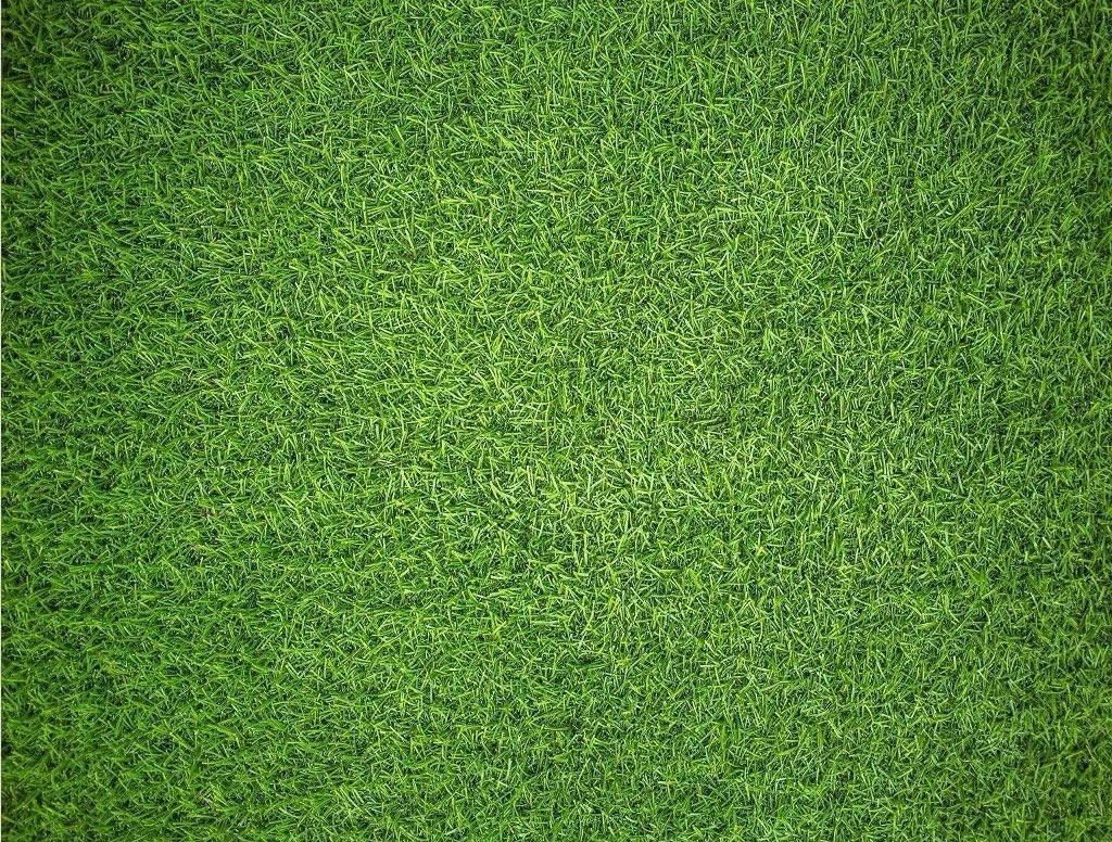 Hard Jigsaw Puzzles - Impuzzible Natural Grass 1000 Piece Jigsaw Puzzle for Adults - 66cm X 50cm - Challenging Jigsaw Puzzles, Great Gift for All Ages