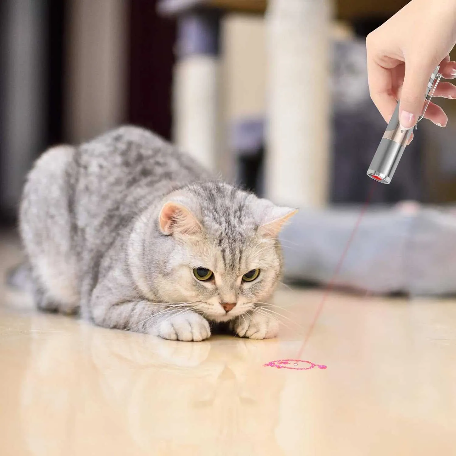 Interactive Rechargeable Cat Toy