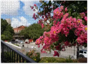 Jigsaw Puzzles 500 Pieces for Adult Beautiful Pink Flowers Tree Jackson Square French Quarter New Orleans Puzzle Game for Family Wooden Puzzle Toy Educational Games Puzzles for Home Decor