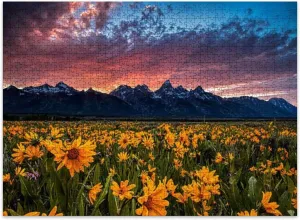Jigsaw Puzzles 500 Pieces for Adult Tetons Wildflowers Sunset Puzzle Game for Family Wooden Puzzle Toy Educational Games Puzzles for Home Decor