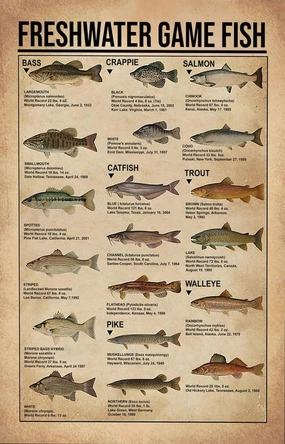 Jigsaw Puzzles 1000 Pieces Freshwater Game Fish Poster Educational Puzzle Family Game Gift for Adults and Kids Perfect for Family or Dat Home Decoration Colorful Puzzle
