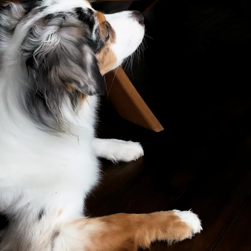 Lunoji Twirl Lick Mat