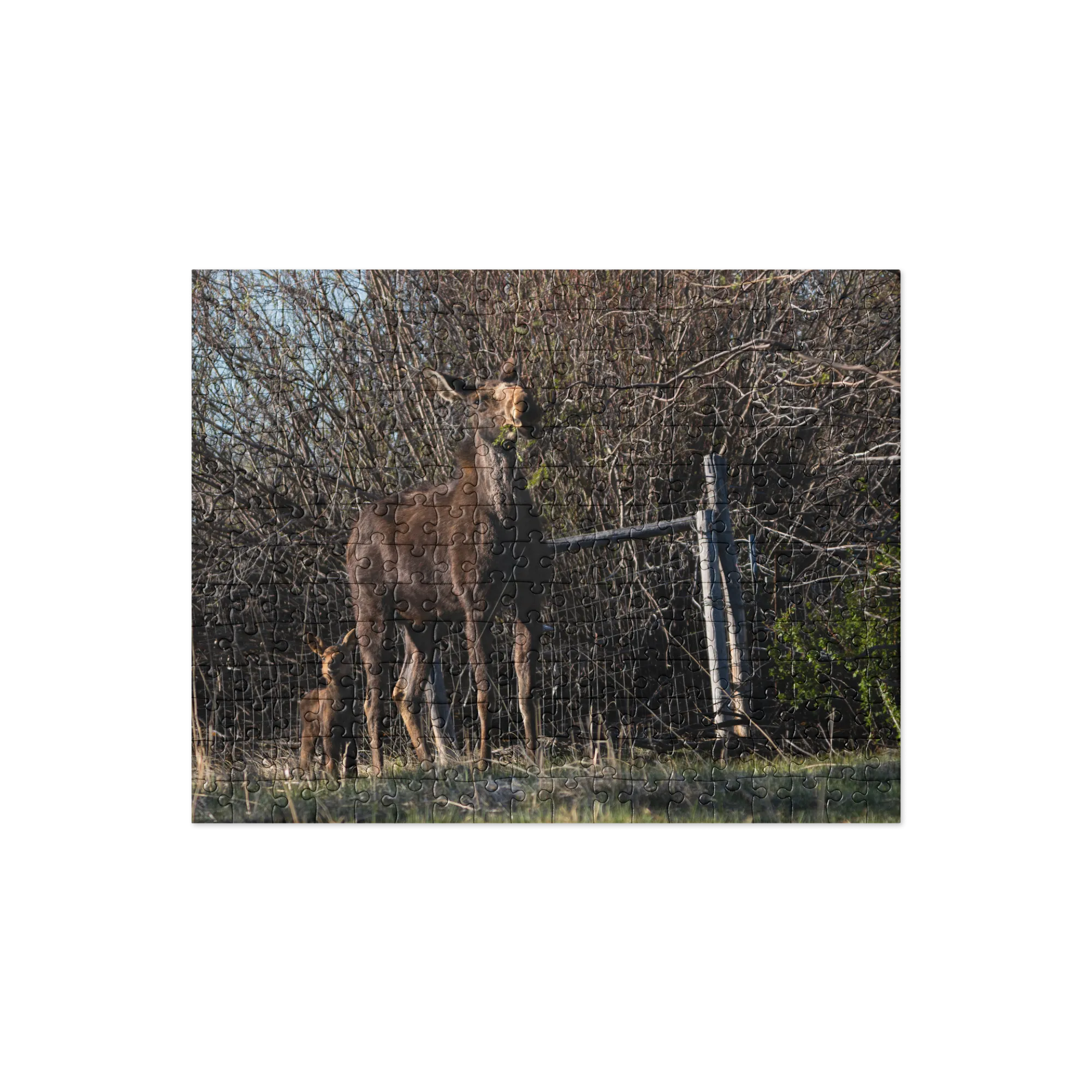 Mamma Moose with Baby Moose Jigsaw puzzle