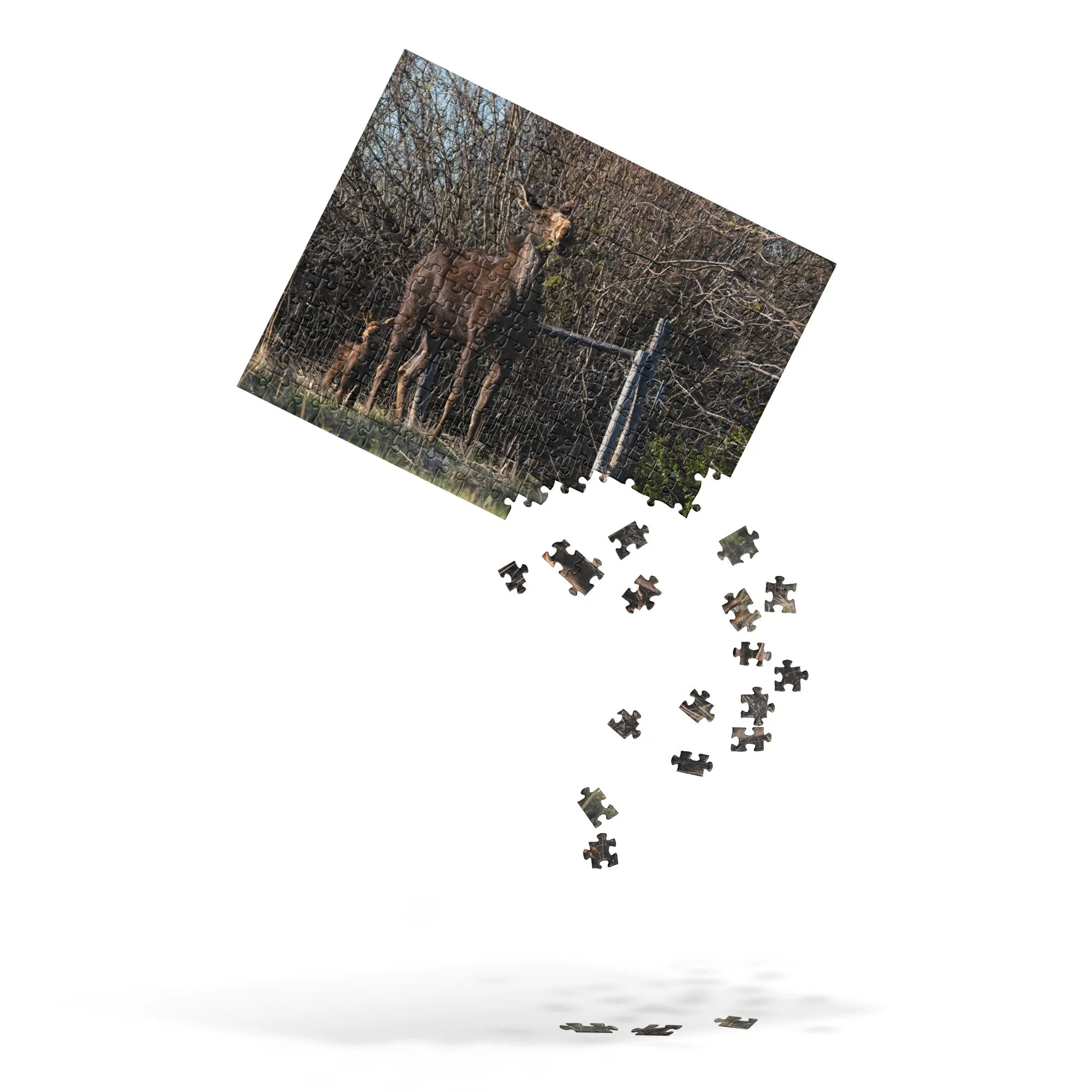 Mamma Moose with Baby Moose Jigsaw puzzle