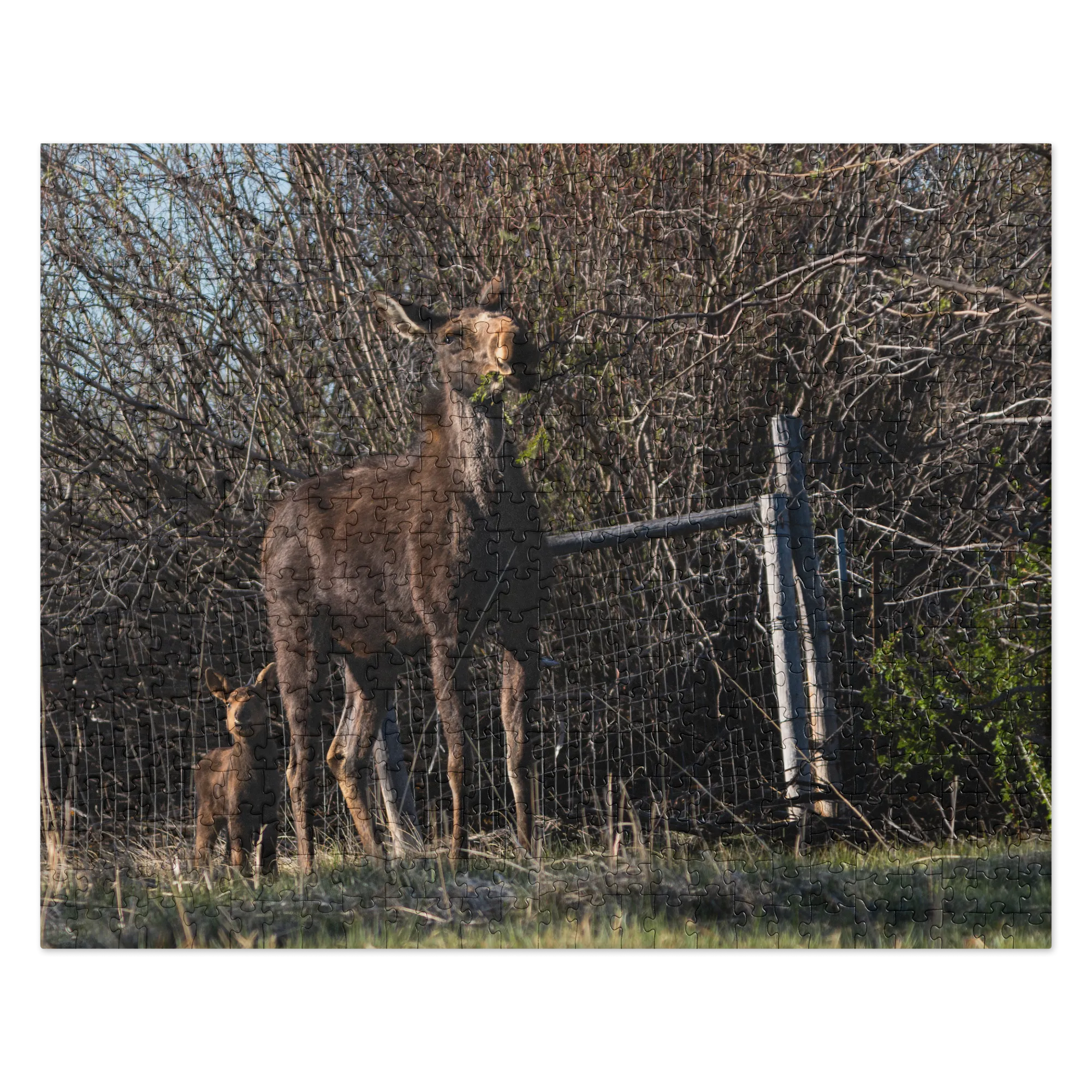 Mamma Moose with Baby Moose Jigsaw puzzle