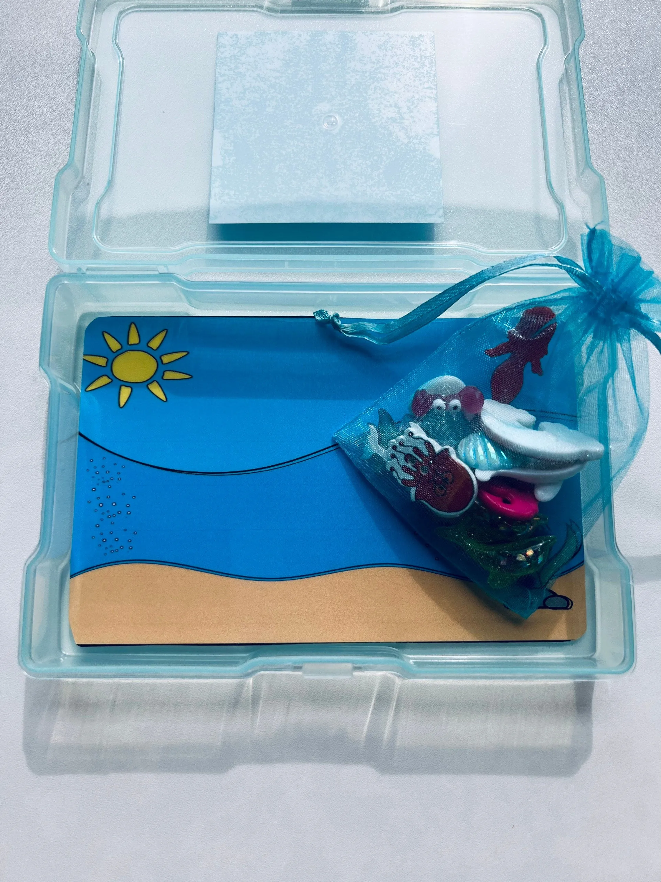 Miniature OCEAN Trinkets Language Task Box Speech Therapy Mini Objects