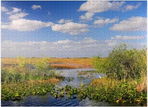 MyPuzzle Everglades National Park, Florida, USA - Premium 1000 Piece Jigsaw Puzzle for Adults