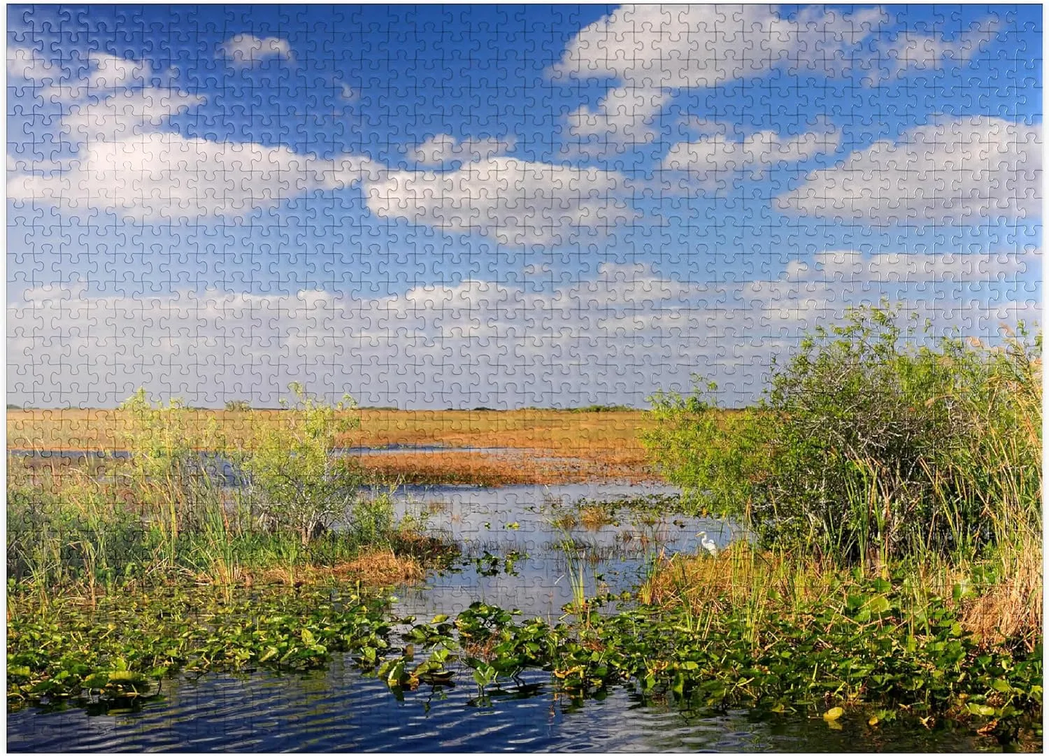 MyPuzzle Everglades National Park, Florida, USA - Premium 1000 Piece Jigsaw Puzzle for Adults
