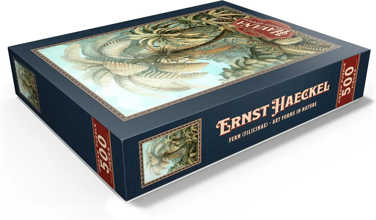 MyPuzzle Fern (Filicinae) - Art Forms in Nature, Vintage Art Poster, Ernst Haeckel - Premium 500 Piece Jigsaw Puzzle for Adults