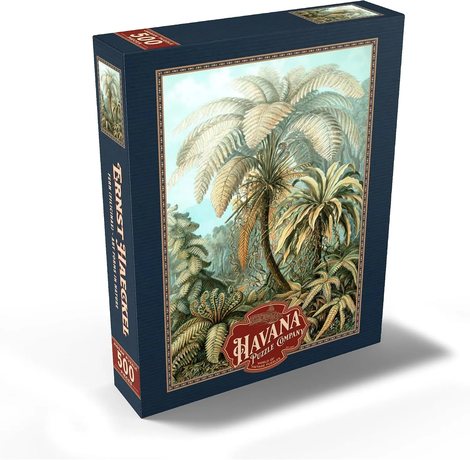 MyPuzzle Fern (Filicinae) - Art Forms in Nature, Vintage Art Poster, Ernst Haeckel - Premium 500 Piece Jigsaw Puzzle for Adults