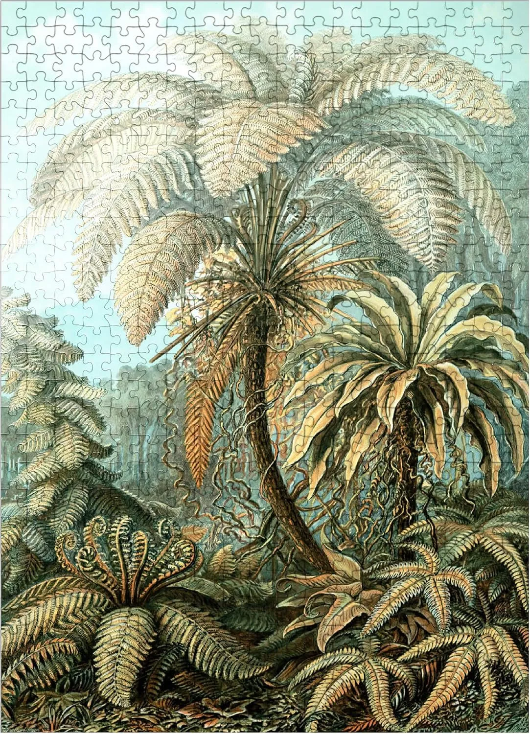 MyPuzzle Fern (Filicinae) - Art Forms in Nature, Vintage Art Poster, Ernst Haeckel - Premium 500 Piece Jigsaw Puzzle for Adults