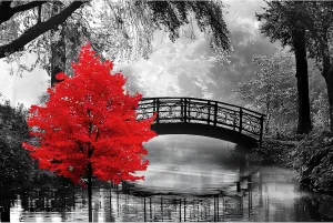 najiaxiaowu Adult Puzzle Classic Jigsaw Puzzle 1000 Pieces Wooden Puzzle DIY Black and White Bridge and Red Tree Modern Home Decor Intellectual Game Wall Art Unique Gift 75x50cm