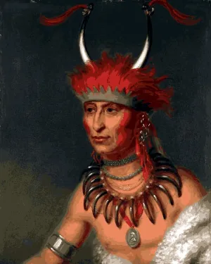 Native Americans Collection PD (27) - OTO Half Chief - Van-Go Paint-by-Number Kit 60x75cm DIY Frame