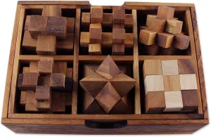 NOVICA Brown Hand Crafted Raintree Wood Puzzle Game,'Puzzles' (Set Of Six)