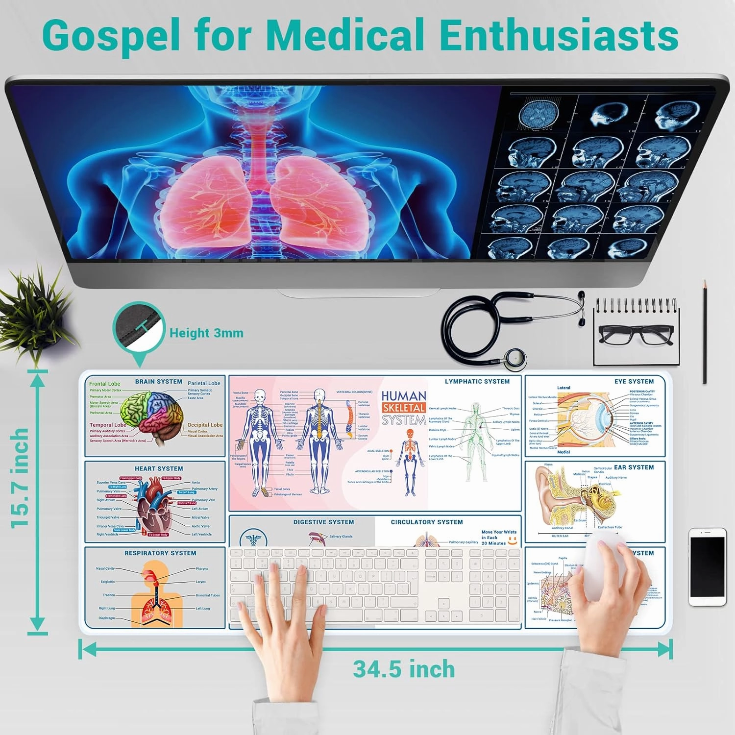 ProbTis Medical Large Mouse Pad, Human Anatomy XXL Desk Mat, 35.4"x15.7", Anatomy and Physiology Study Tools, Employee Appreciation Gifts for Coworkers Doctor Medical Assistant College Nursing Student
