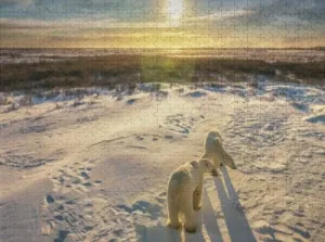 Puzzles for Adults 500 Pieces Two Adult Polar Bears Stand Together Snowy Arctic Impossible Hard Difficult Challenging Puzzles for Adults and Family Challenging Family Activity
