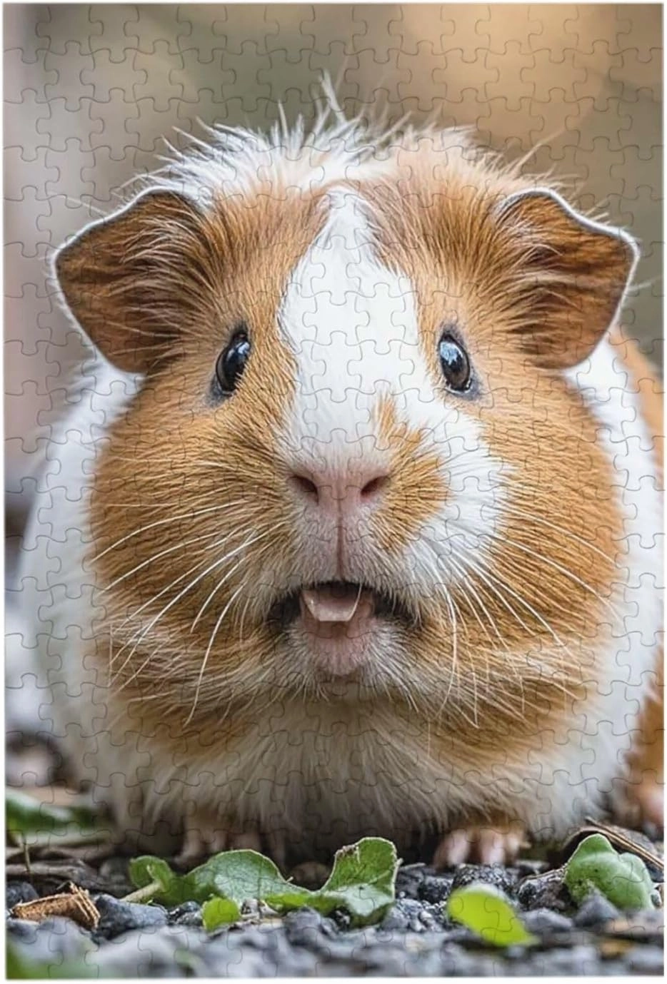 Puzzles 300 Pieces Personalized Jigsaw Puzzles Guinea Pigs Funny Puzzle Challenging Photo Puzzle with Storage Bag Picture Puzzle for Adults Family 10.2 x 15 inch