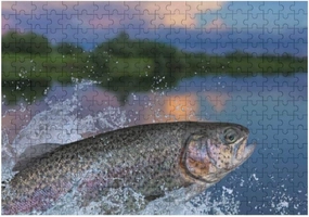 Rashu Jigsaw Puzzles for Adult Large PictureRainbow Fish JumpingWooden Puzzles Intelligent Education Brain Puzzles Game Home Wall Decor