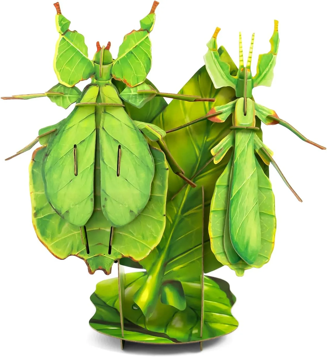 STEM Toys Eco-Friendly 3D Paper Puzzles, Educational Toys for 7  Year Old, Preschool Toys for Birthday, Christmas, Holidays(Giant Asian Mantis and Phyllium)……