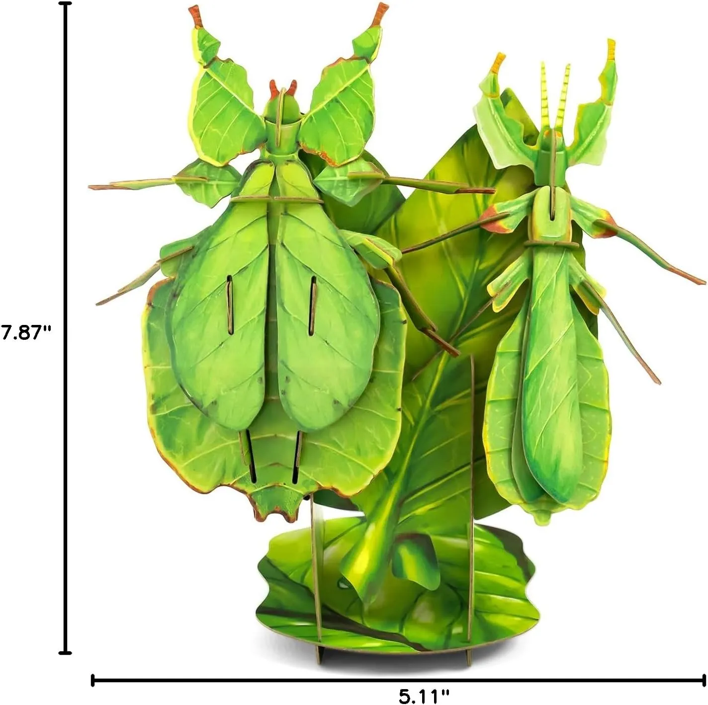 STEM Toys Eco-Friendly 3D Paper Puzzles, Educational Toys for 7  Year Old, Preschool Toys for Birthday, Christmas, Holidays(Giant Asian Mantis and Phyllium)……