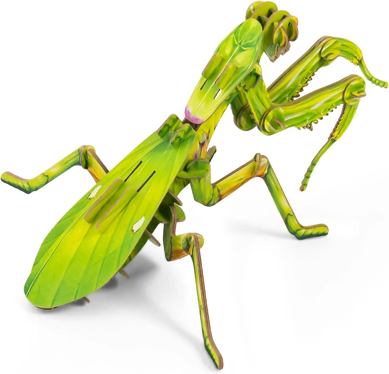 STEM Toys Eco-Friendly 3D Paper Puzzles, Educational Toys for 7  Year Old, Preschool Toys for Birthday, Christmas, Holidays(Giant Asian Mantis and Phyllium)……