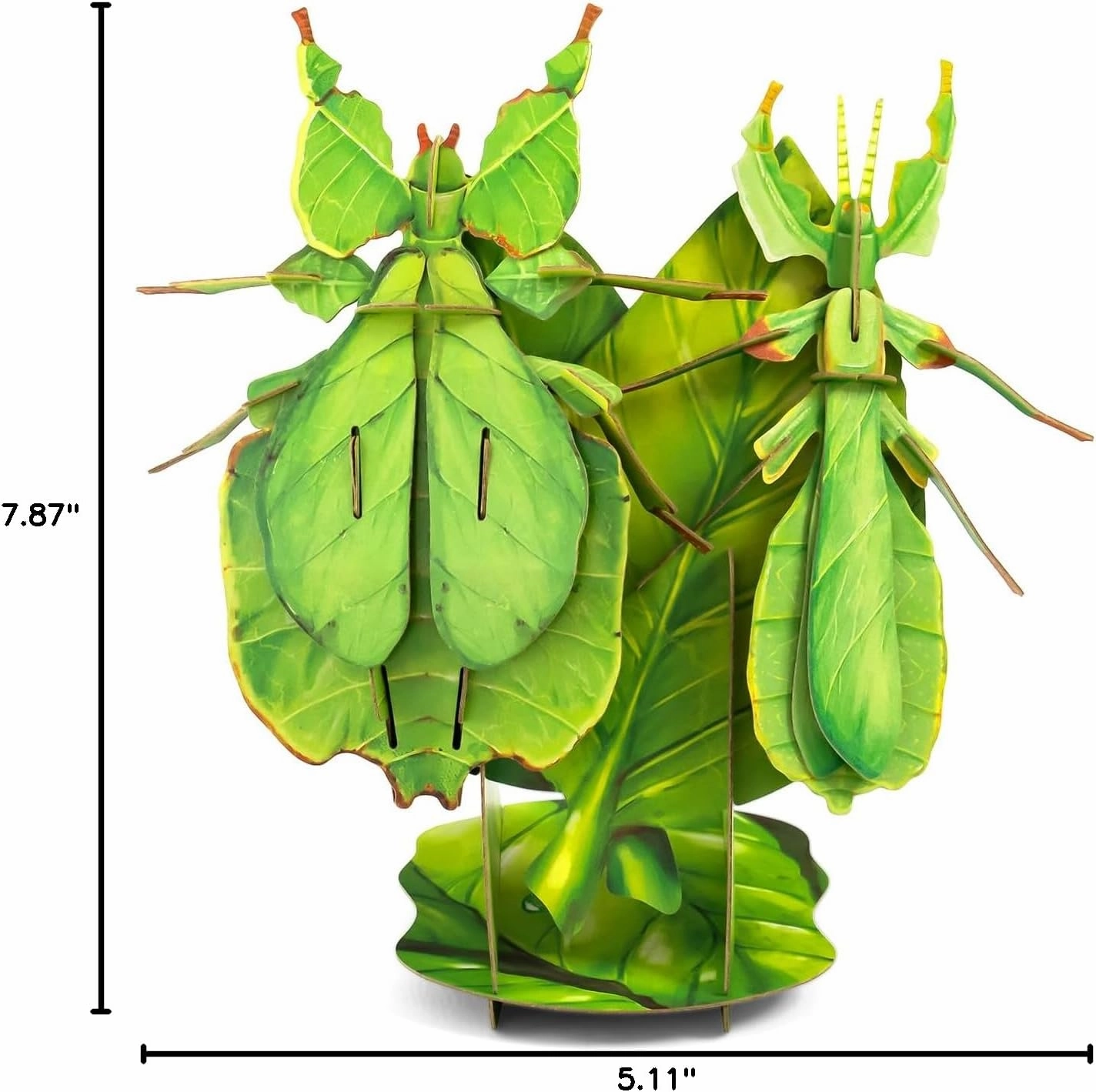 STEM Toys Eco-Friendly 3D Paper Puzzles, Educational Toys for 7  Year Old, Preschool Toys for Birthday, Christmas, Holidays(Giant Asian Mantis and Phyllium)……
