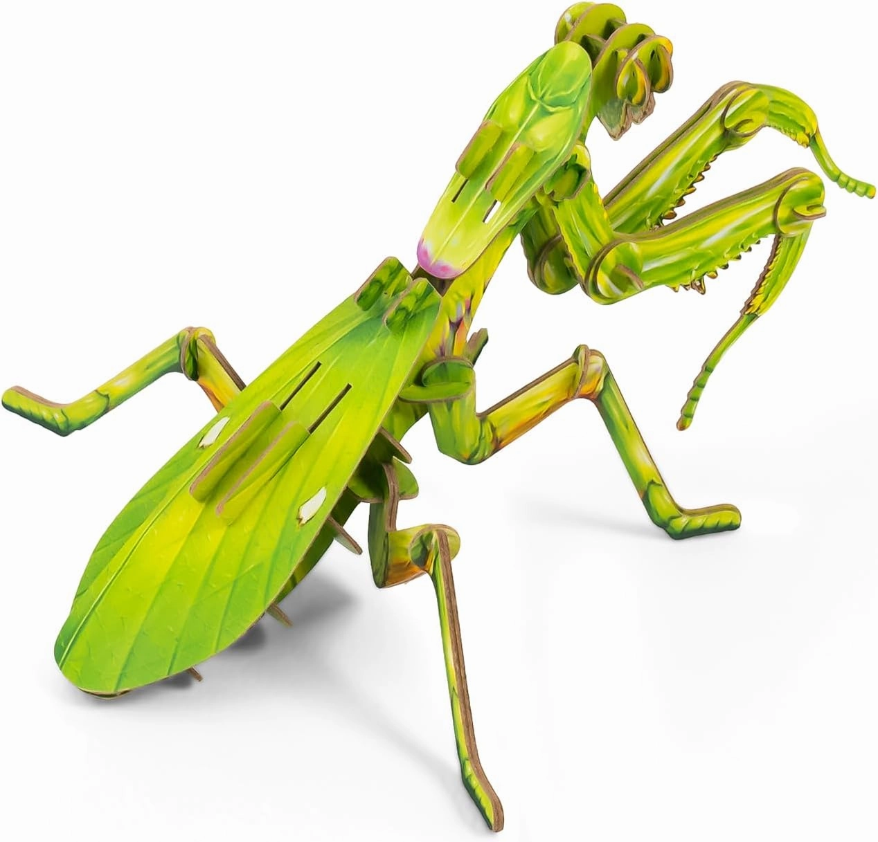 STEM Toys Eco-Friendly 3D Paper Puzzles, Educational Toys for 7  Year Old, Preschool Toys for Birthday, Christmas, Holidays(Giant Asian Mantis and Phyllium)……