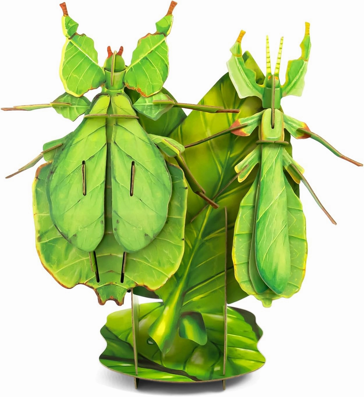 STEM Toys Eco-Friendly 3D Paper Puzzles, Educational Toys for 7  Year Old, Preschool Toys for Birthday, Christmas, Holidays(Giant Asian Mantis and Phyllium)……