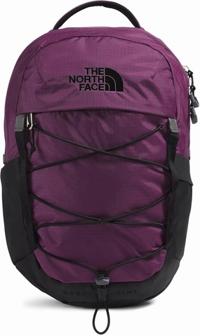 THE NORTH FACE 10L Mini Borealis Everyday Backpack, Black Currant Purple/TNF Black, One Size