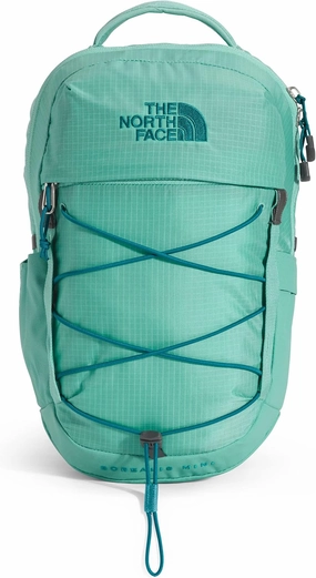 THE NORTH FACE 10L Mini Borealis Everyday Backpack, Wasabi/Harbor Blue, One Size