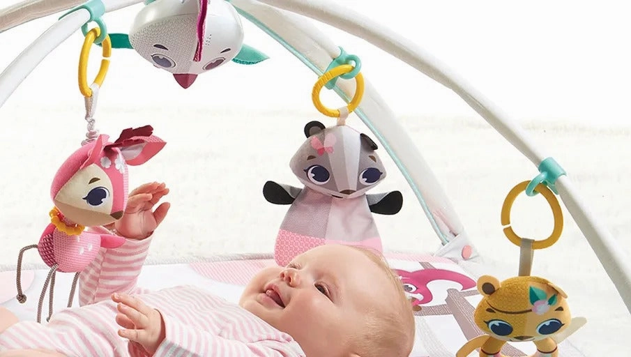 Tiny Love Tiny Princess Tales™ Gymini® Deluxe